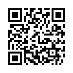 扫描二维码阅读《大明小乞丐》