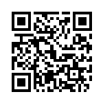 扫描二维码阅读《我要当大官》