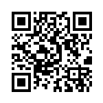 扫描二维码阅读《缺陷美》