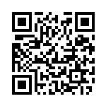 扫描二维码阅读《教皇阁下从不伟大》