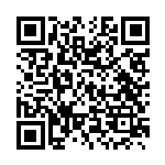 扫描二维码阅读《阈限游戏展览馆》